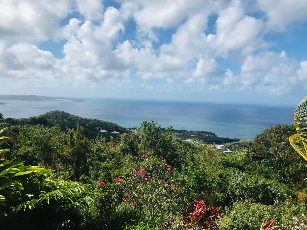 Appartement Prive Eco-Responsable, Vue Sur La Mer Des Caraibes Et Jardin Clos, Wifi, A 2Mn De La Plage Sainte-Luce Exteriér fotografie